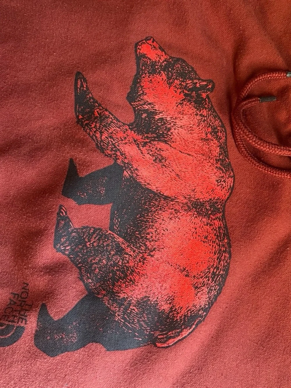 The North Face Men’s Red Bear Graphic Crewneck Hoodie